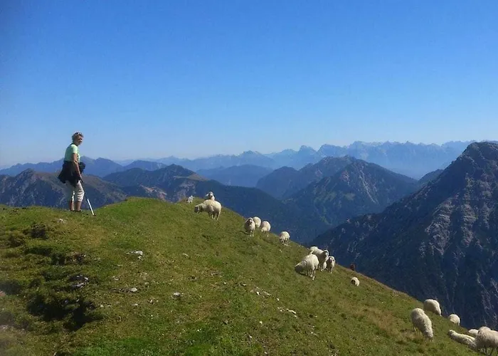 Dom wakacyjny One-bedroom